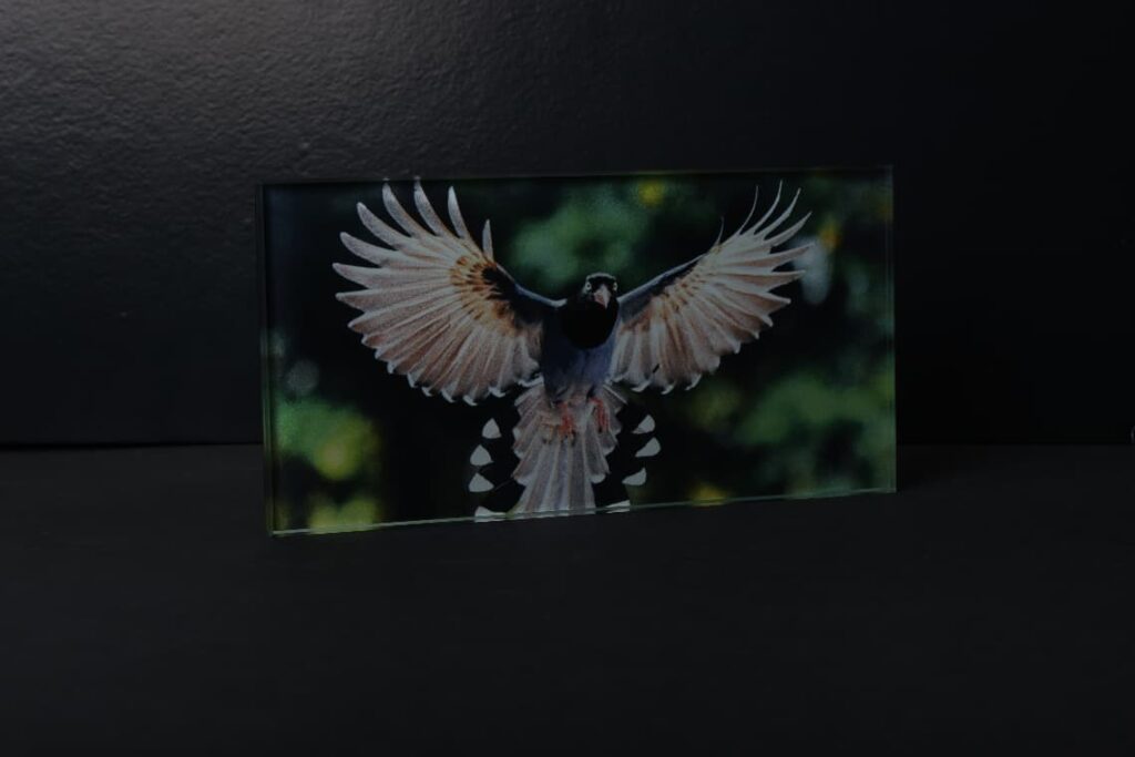 We provide highly advanced digital ceramic printing on glass that can perfectly implement any design for the interior or exterior glass with high resolution and various color intensities.